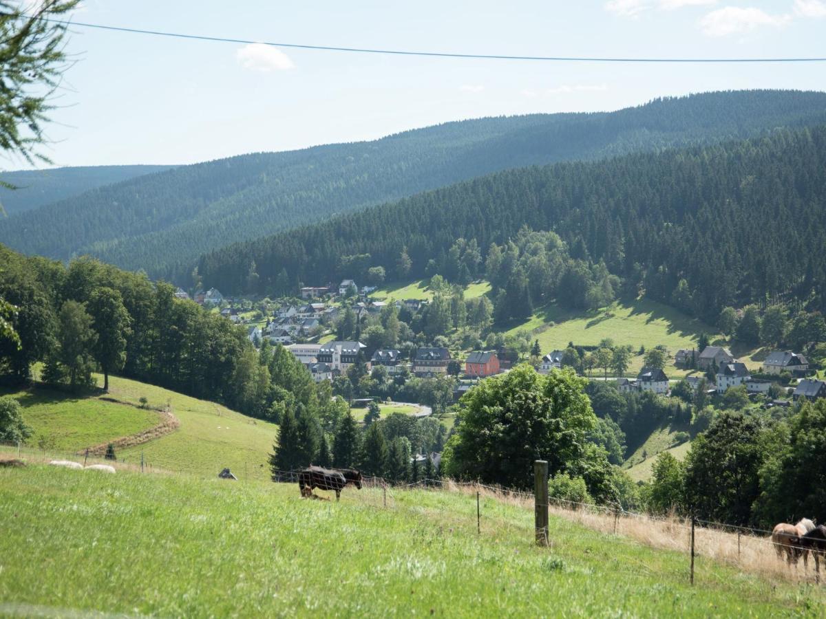 Homey Chalet In Breitenbrunn Rittersgrun Exterior foto